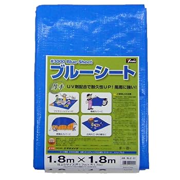 713FhmQW+2L._UF350,350_QL80_.jpg